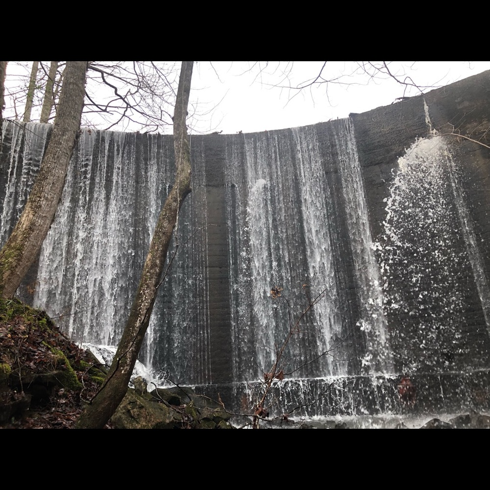 Meet your Posher, Suzanne